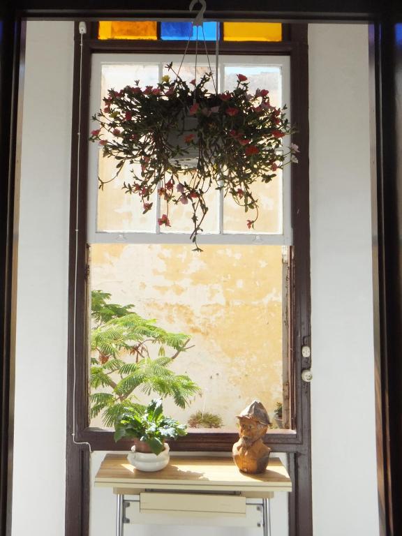 Hotel Casa Colonial Cejas Santa Cruz de Tenerife Exteriér fotografie